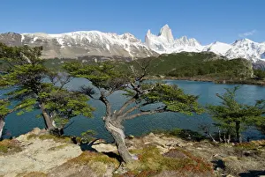 Glaciares: View of Fitzroy from Lago Capri, Los Glaciares