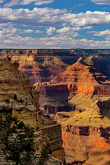 Vista: View of the Grand Canyon from the South Rim