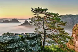 Saxon: View from Kleiner Winterberg at sunrise, morning
