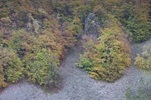 Hillside: View from Kopparhatten above Soederasen National