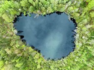 Constance: Top view of Lake Litzel, Constance district, Baden-Warttembe