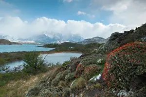 Chile: View on a lake in spring