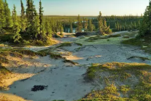 Surrounding: View of a lake and the surrounding sand