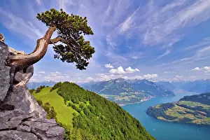 Foothills: View of the Lake of Uri and the Central Swiss Pr
