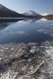 100119: View at Loch Laggan - Lochaber - Scotland, United