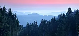 Harz: View over low mountain range landscape, hilly landscape