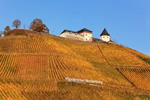Moselle: View of Marienburg Castle over vineyards in autumn
