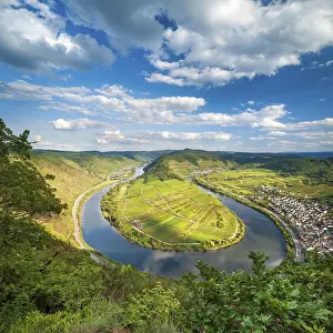 Ridges: View of the Moselle bend at Bremmer Calmont