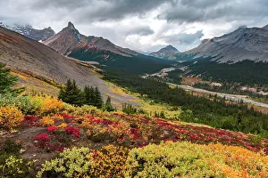 Jasper: View to Mount Athabasca and Hilda Peak in autumn