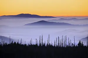 Daybreak: View from Mount Lusen over the Bavarian Forest covered