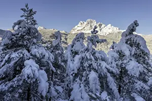 Belluno: View on Mount Pelmo with in the foreground the snow-covered trees in the valley