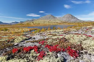 Oppland: View at mount Stygghoin in autumn at Doraldalen - Rondane Na