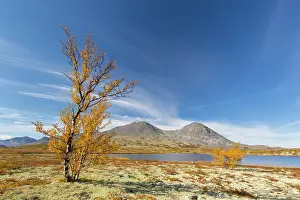 Oppland: View at mount Stygghoin in autumn at Doraldalen - Rondane Na