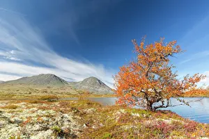 Oppland: View at mount Stygghoin in autumn at Doraldalen - Rondane Na