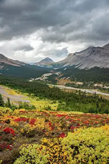 Icefields: View of Mount Wilcox and Nigel Peak and Wilcox Pass
