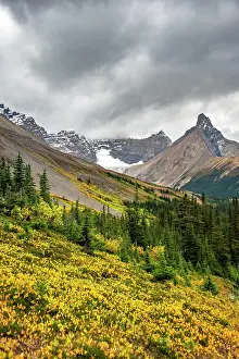 Icefields: View of mountains and glaciers, Mount Athabasca