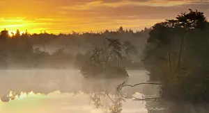 Bossen: View over the Oisterwijkse bossen en vennen during sunrise