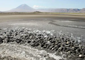 Lengai: View of Oldoynio Lengai Volcano / The Mountain of God