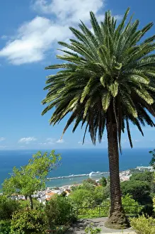 Check: View overlooking the port area, Funchal