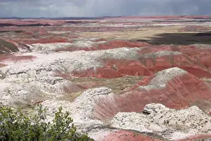 Stained: View over Painted Desert, the white layers are sandstone