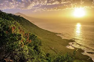 Pico: View of Pico del Teide at sunset, north coast Tenerife