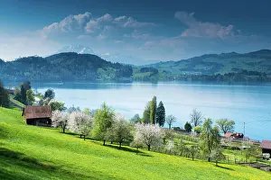 Lakeland: view of picturesque Swiss mountain and lake landscape