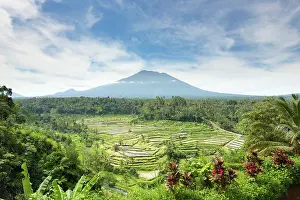 Terraces: View of rice terraces and Gunung Agung volcano