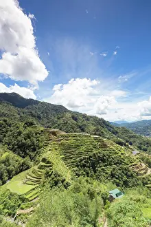 Philippine: View of the rice terraces as seen from the Banaue
