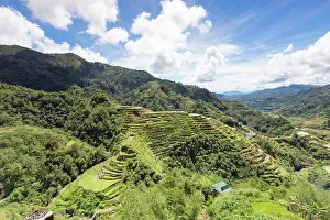 Philippine: View of the rice terraces as seen from the Banaue