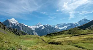Wetterhorn: View of snow-covered Fiescherhorn, Wetterhorn and