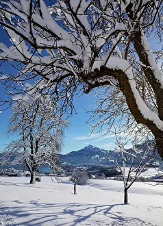 Berge: View of snow-covered Mondseeland with Schafberg