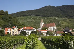 Spitz: View of Spitz an der Donau, Wachau, Waldviertel