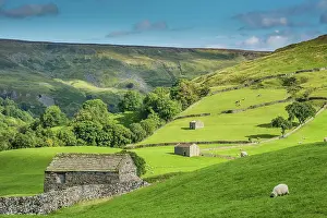 Stonewall: View of stone barns, dry stone walls and pastures