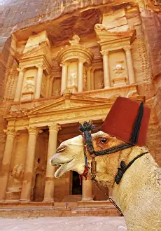 Petra: View of the Treasury, Al-Khazneh, with camels, Petra, Jordan