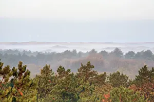 Duinreservaat: Top view on trees, dunes and windmills at sea on misty morning