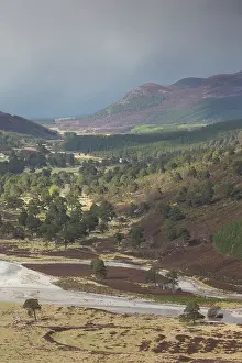 Braided: View along upper Glenfeshie on late winter day