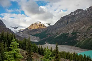 Peyto: View into the valley with glacier river Peyto Creek