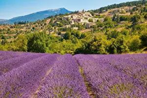 Provence: View of the village of Aurel with lavender field