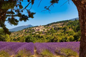 Provence: View of the village of Aurel with lavender field