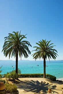 Viewing: Viewing terrace with palm trees, Rayol-Canadel-sur-Mer