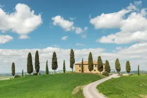 Manor: Villa i Cipressini, estate with cypress trees (Cupressus)