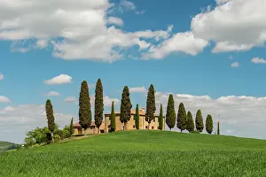 Siena: Villa i Cipressini, estate with cypress trees (Cupressus)