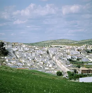 Groves: Village in Andalucia, Spain