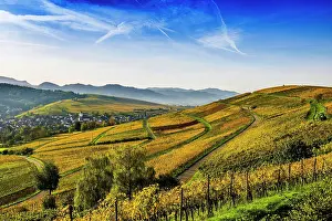 Viniculture: Village and autumn coloured vineyards, sunrise