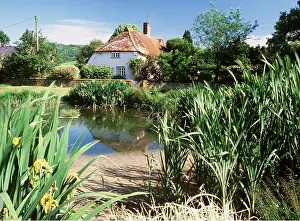Dean: Village pond at East Dean in West Sussex