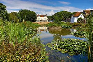 050818: The Village Pond and the Elms, where Rudyard