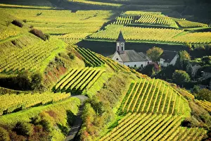 Townsmall: Village in the vineyards in autumn, Altvogtsburg