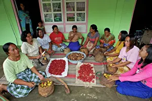Villagers: Villagers - processing Nutmeg