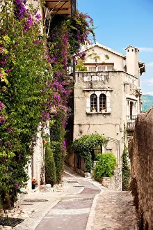 Cobblestone: Vine covered homes along ancient street