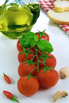 Typical: Vine tomato, tomato of Pachino (Province of Syracuse